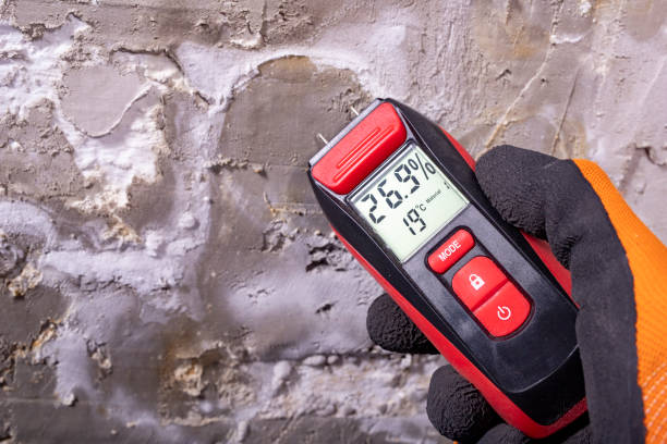 Best Commercial Mold Removal  in Eastern Goleta Valley, CA
