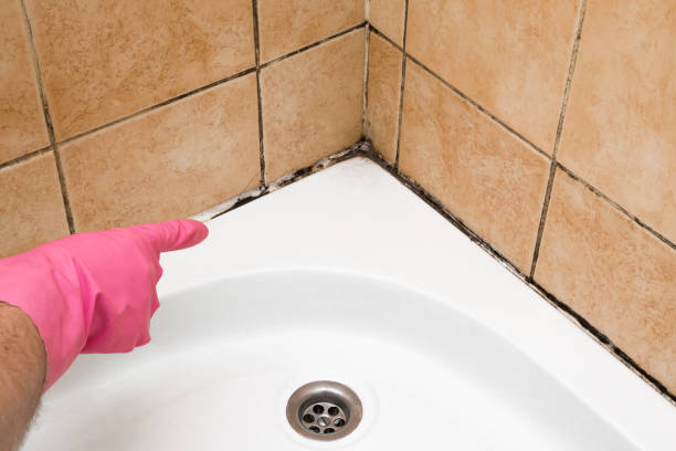Best Mold Testing  in Eastern Goleta Valley, CA